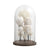White Resin Ocean Décor with Wooden Base and Glass Cloche - Large FC-SZ24058A