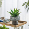 Distressed Terracotta Planter with Pedestal 460173