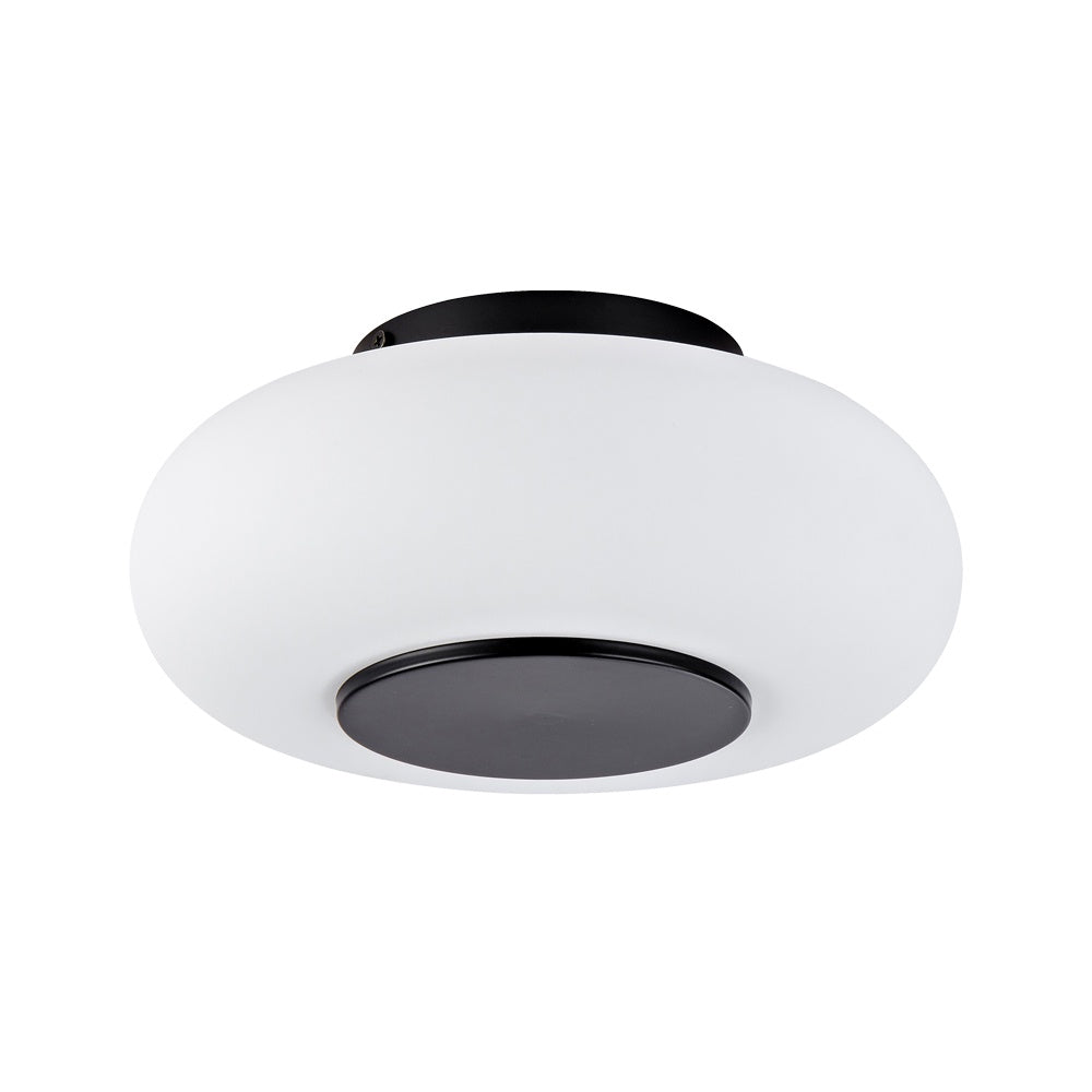 Surrey Flushmount - Black CA18965B