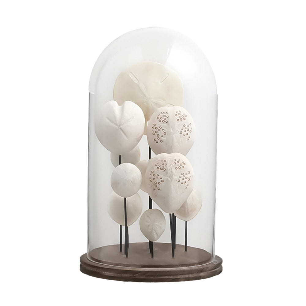 White Resin Ocean Décor with Wooden Base and Glass Cloche - Large FC-SZ24058A