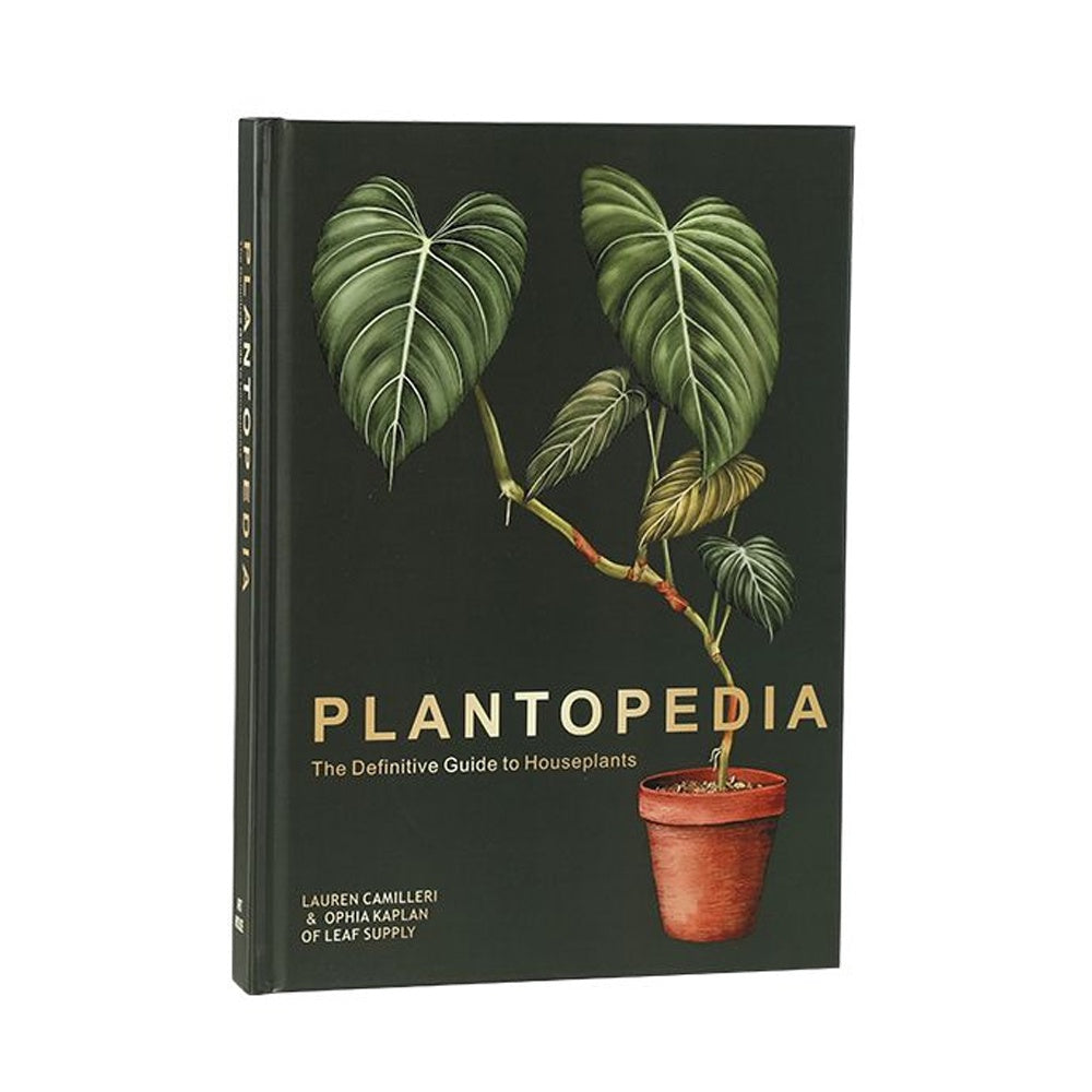 Decorative Book FF-BS25010