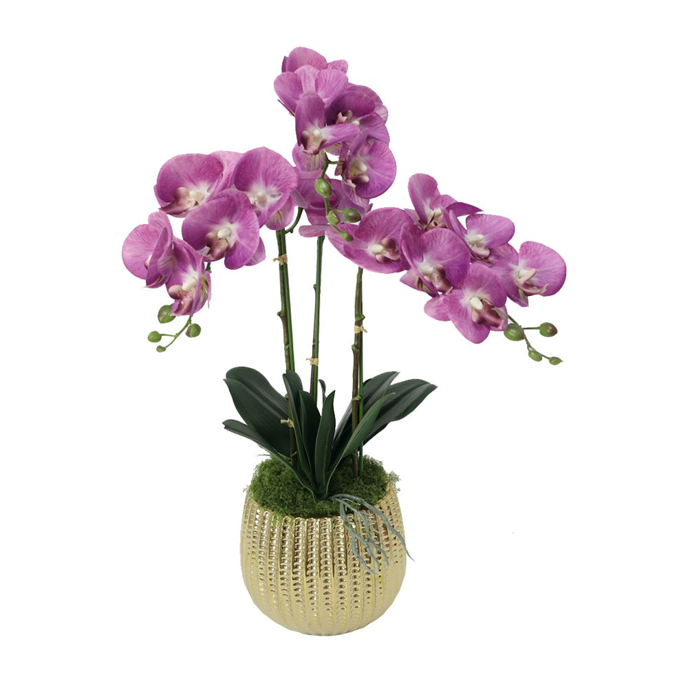 Dark Purple Artificial 3-Stem Orchid Arrangement in Gold Ceramic Pot IHR-ORC102-DP-G