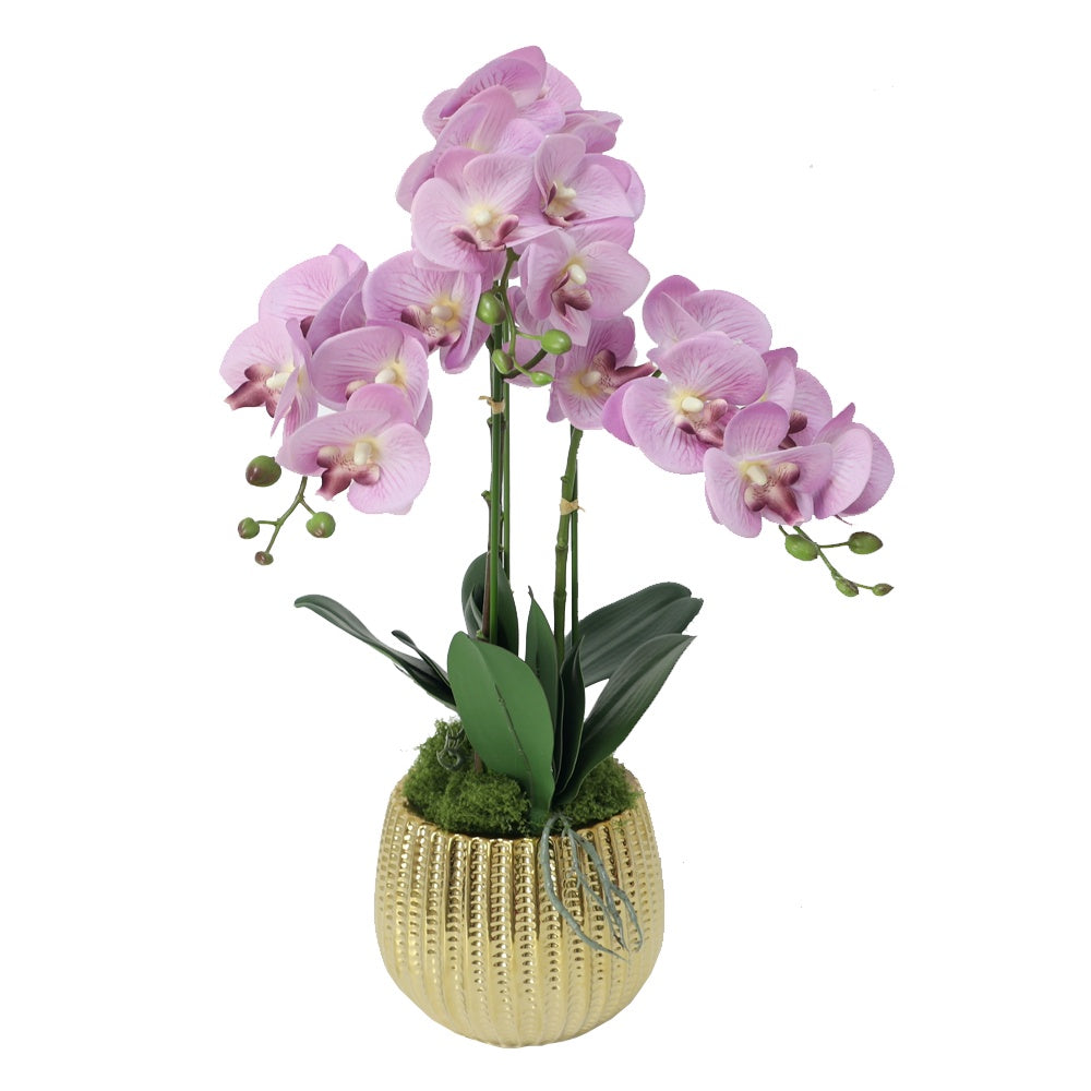 Lilac Artificial 3-Stem Orchid Arrangement in Gold Ceramic Pot IHR-ORC102-PR1-G