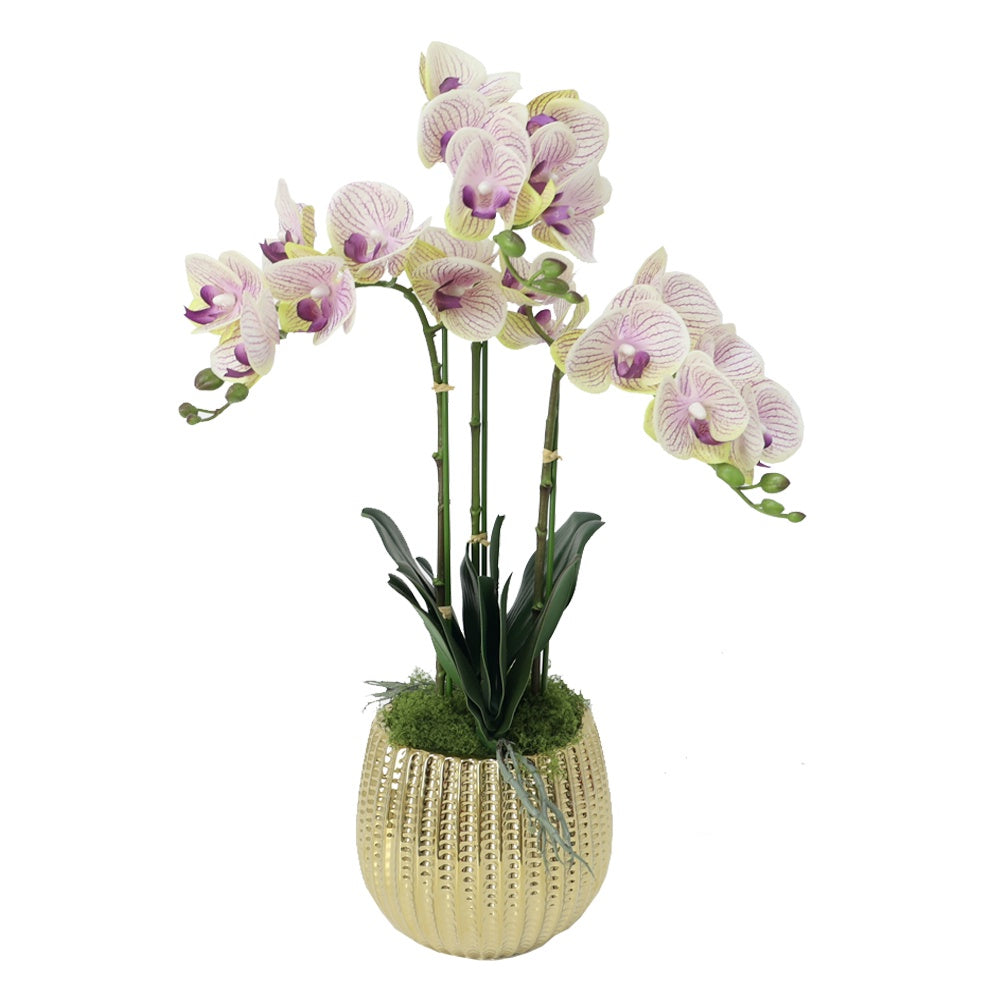 Light Purple Artificial 3-Stem Orchid Arrangement in Gold Ceramic Pot IHR-ORC102-PR2-G
