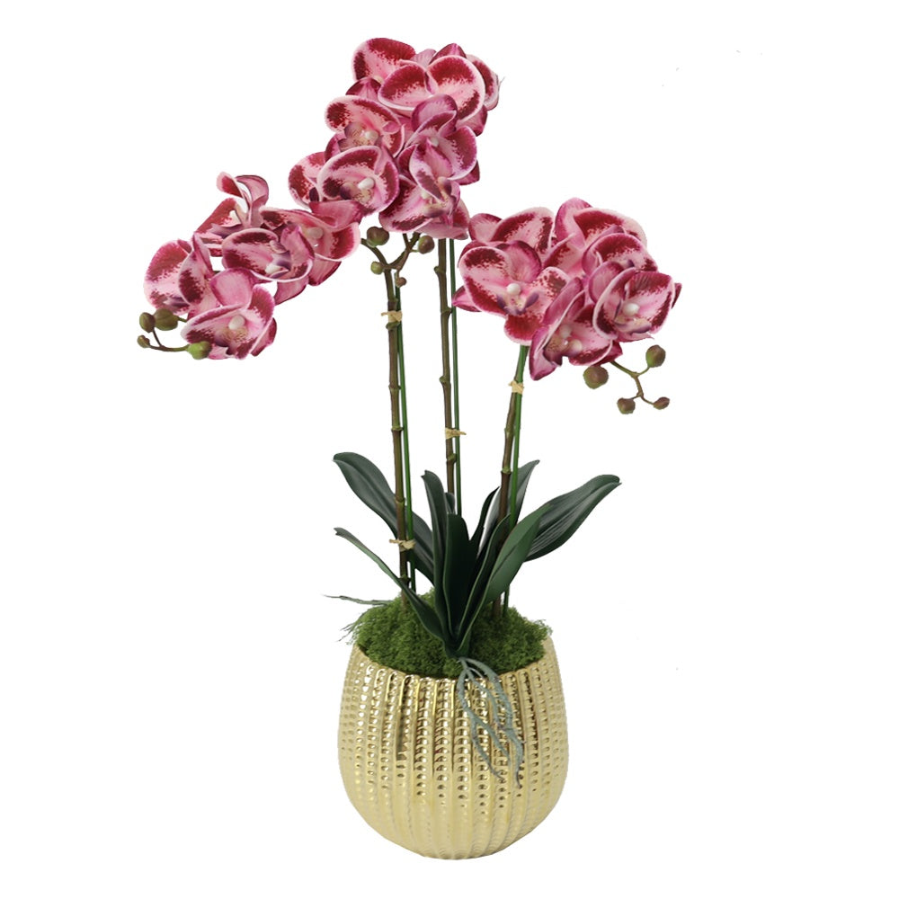 Gradient Pink Artificial 3-Stem Orchid Arrangement in Gold Ceramic Pot IHR-ORC102-RS-G