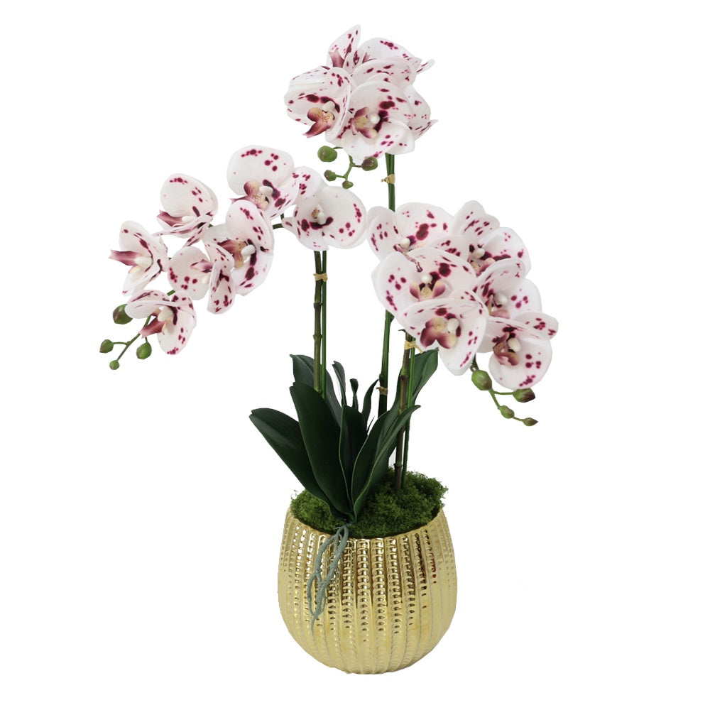 White Spotted Artificial 3-Stem Orchid Arrangement in Gold Ceramic Pot IHR-ORC102-SP-G
