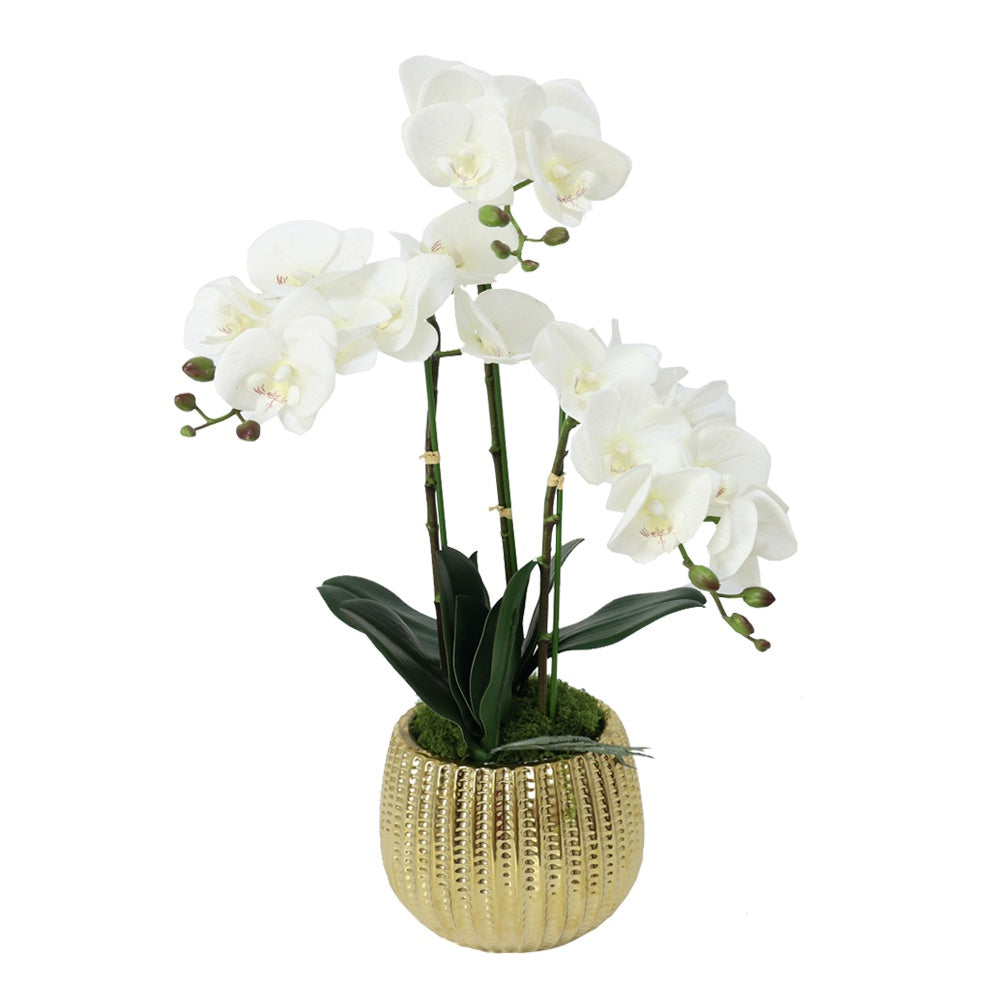 White Artificial 3-Stem Orchid Arrangement in Gold Ceramic Pot IHR-ORC102-WH2-G