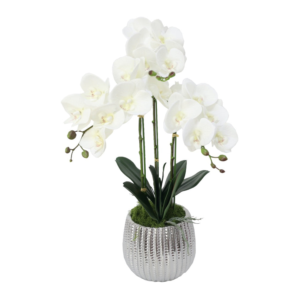 White Artificial 3-Stem Orchid Arrangement in Silver Ceramic Pot IHR-ORC102-WH2-SL
