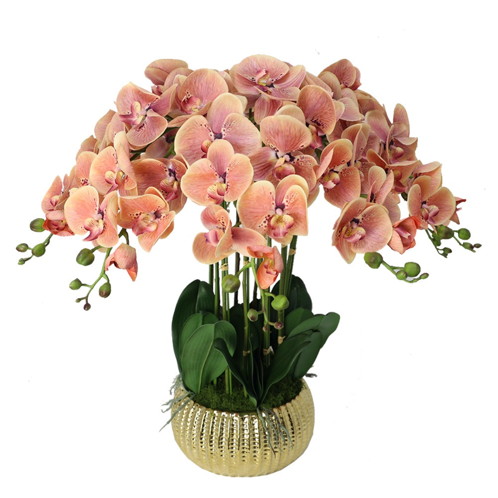 Salmon Artificial 11-Stem Orchid Arrangement in Gold Ceramic Pot IHR-ORC103-SM-G