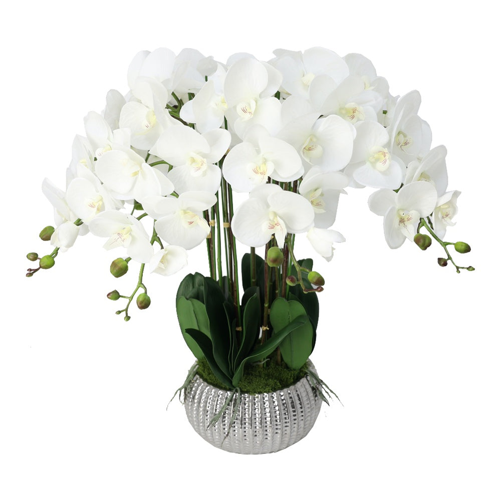 White Artificial 11-Stem Orchid Arrangement in Silver Ceramic Pot IHR-ORC103-WH1-SL