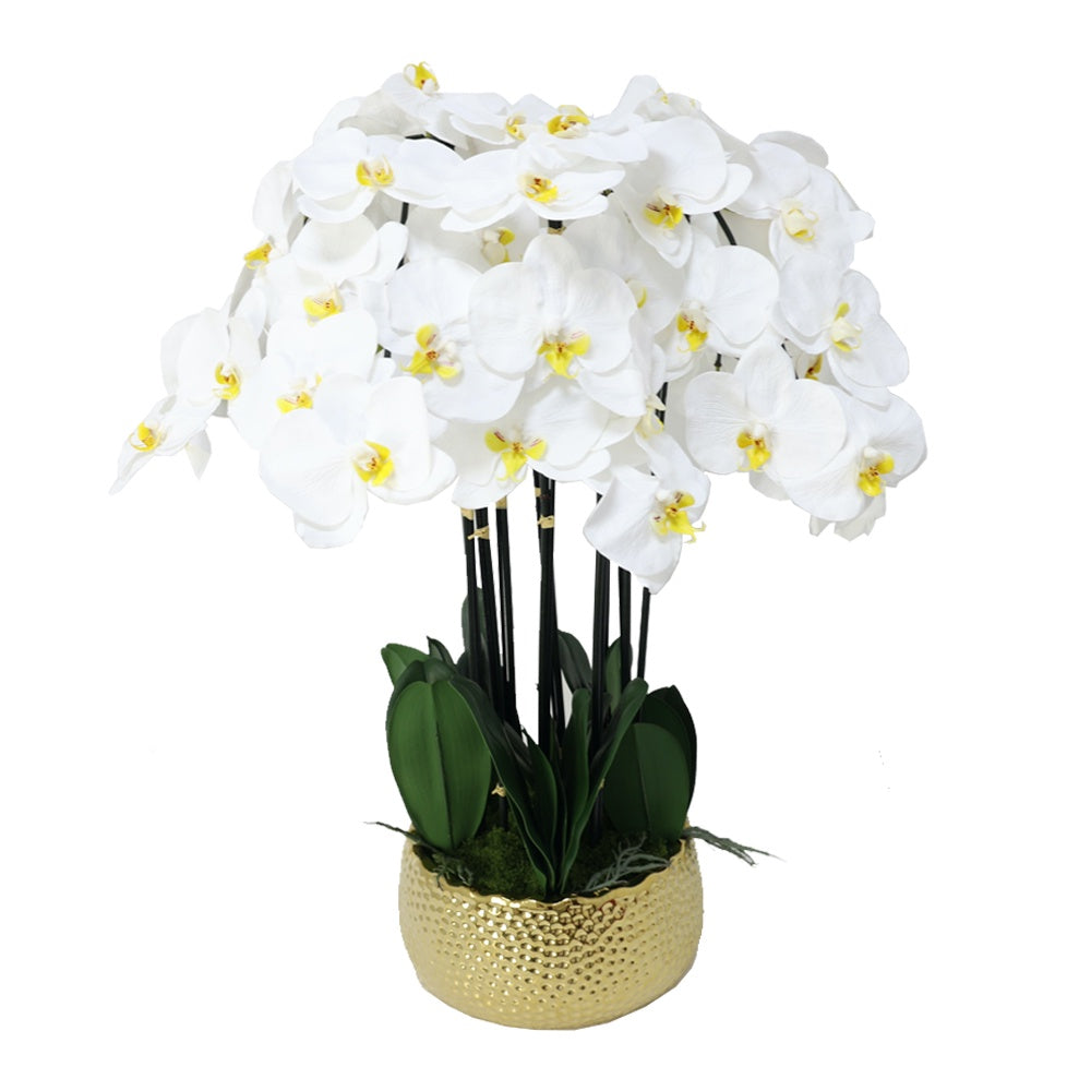 White Artificial 10-Stem Orchid Arrangement in Gold Ceramic Pot IHR-ORC104-WH-G