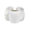 White Ceramic Vase with Ruffle Detail - Small SG1027836W07