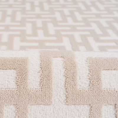 Doyle Rug TS-DS-01-240340