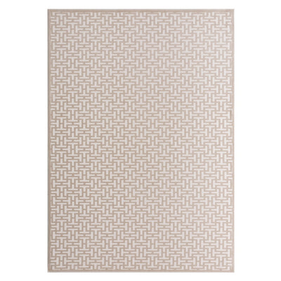 Doyle Rug TS-DS-01-300400