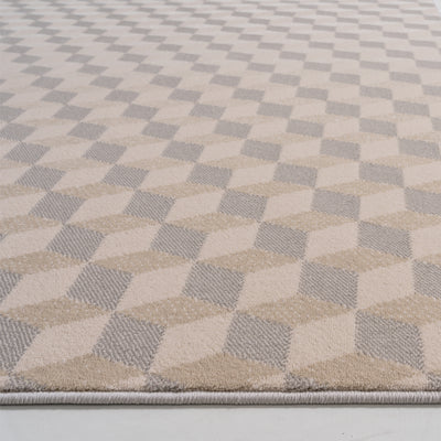 Charleston Rug TS-DS-07-300400TQ