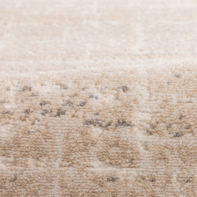 Wren Rug TS-GW-03-300400