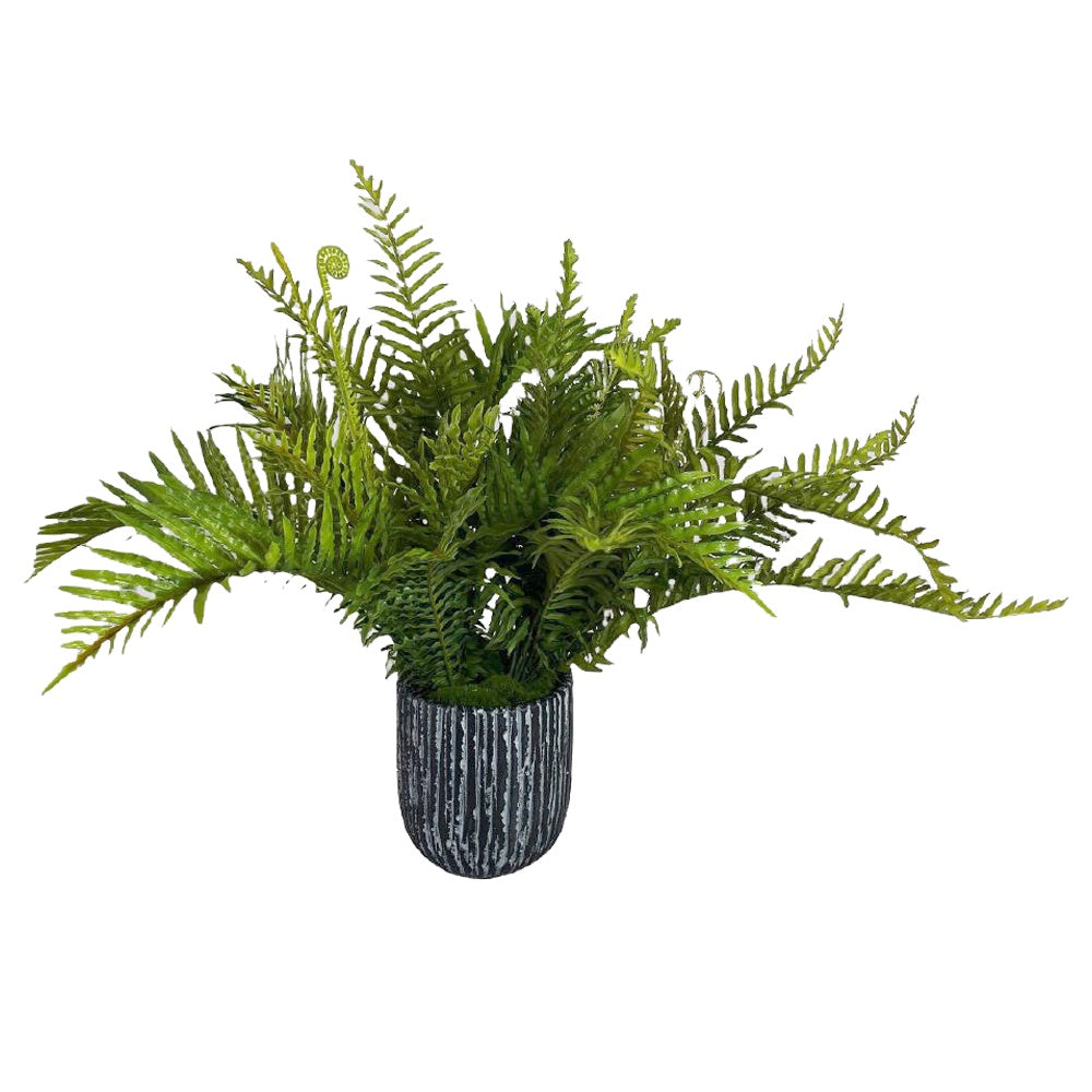 Artificial Fern in Cement Pot YF25109