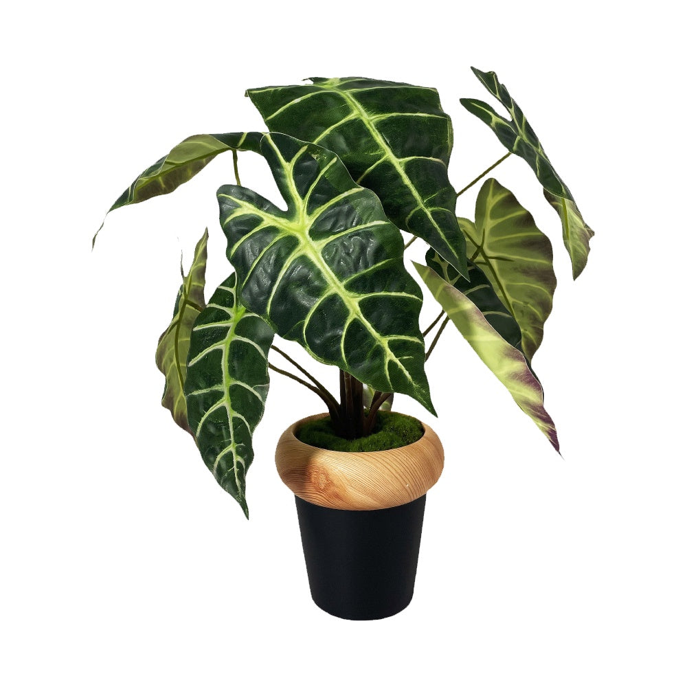 Artificial Alocasia in Ceramic Pot YF25110