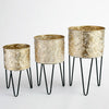Set of 3 Gold Metal Planters on Hairpin Legs الغراس