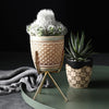 White & Natural Ceramic Pot on Tripod Stand مزهرية