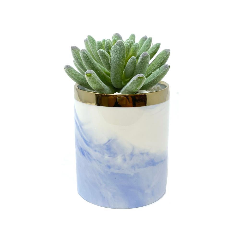 Faux Mini Succulent in Ceramic Planter MPH0017G