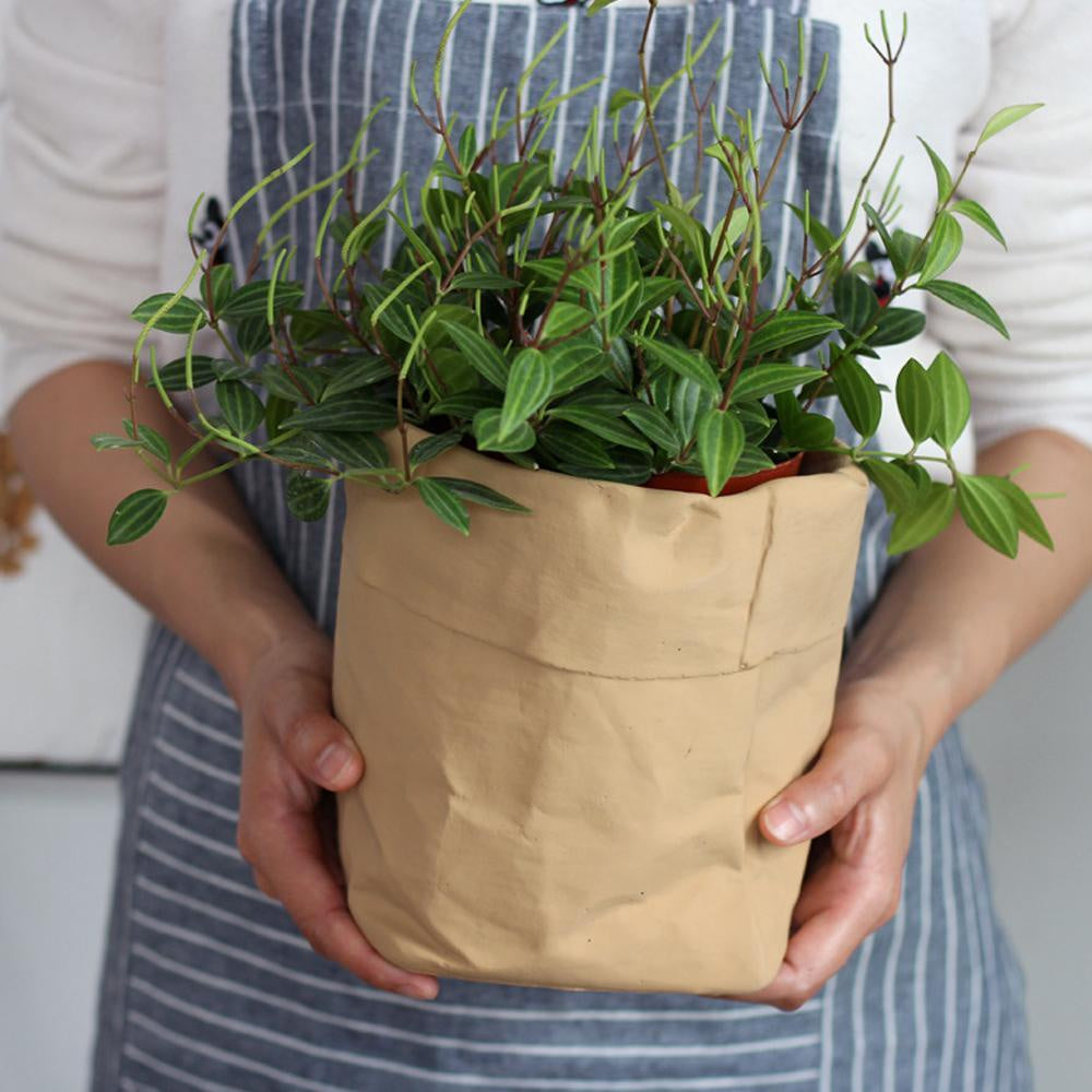 Cement Kraft Bag Planter ZD-089