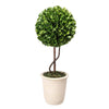Faux Boxwood Topiary - Single Sphere نباتة ديكور المنزل
