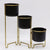 3-Pot Black and Gold Metal Planter الغراس