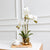 Three Stem Butterfly Orchid with Ceramic Pot FL-JH249