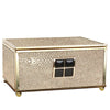 Glass Decorative Box with Brass Detail and Shagreen Finish - Large FB-PG1917A