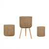 Set of 3 Concrete Planters with Cane Effect 440008