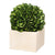 Faux Boxwood in Planter - Small 29396
