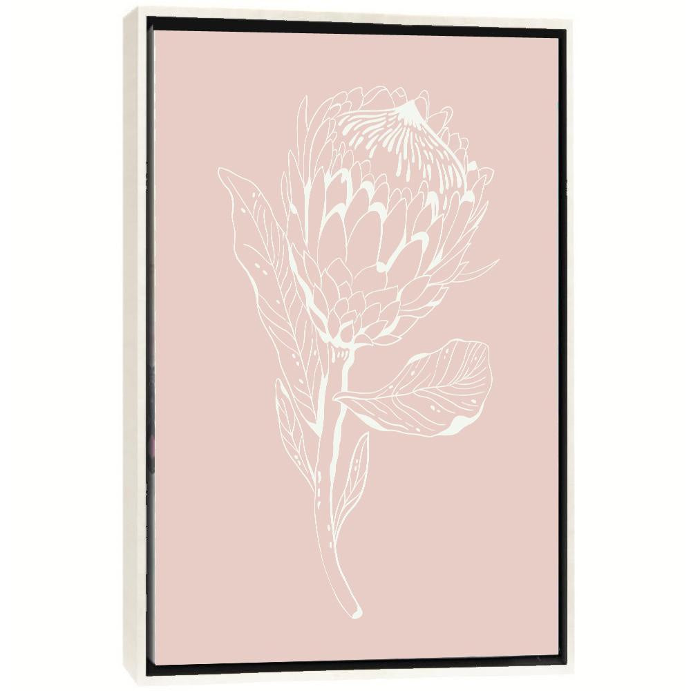 Protea - Blush - On Sale