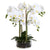 Large Butterfly Orchid with Glass Pot FL-JH252