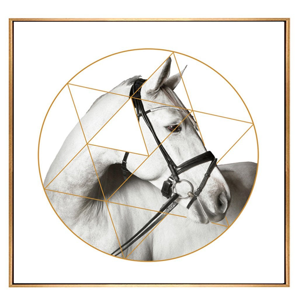 Black and White Horse Portrait with Gold Detail - Framed Canvas Print C FL-H218C