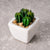 Faux Mini Succulent in White Ceramic Planter SHCK3012011