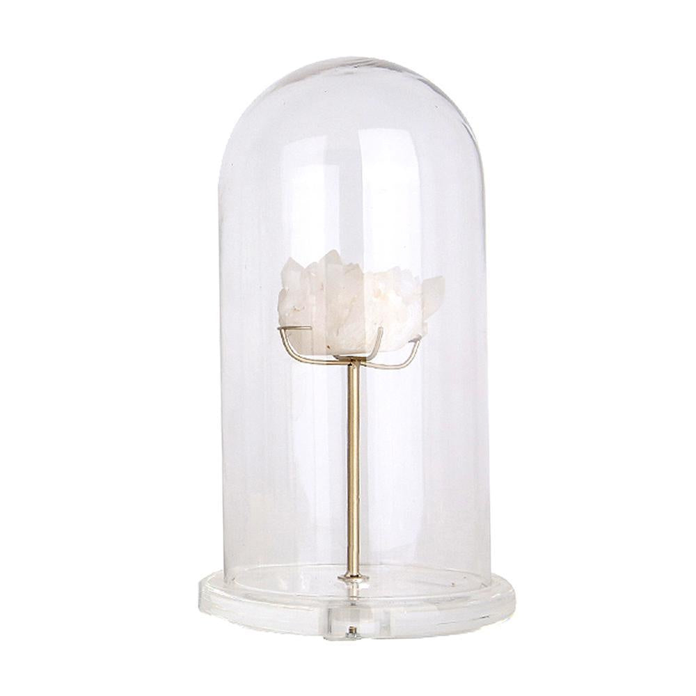 Spar Décor in Glass Dome - Large FL-YF048A