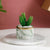 Faux Mini Succulent in Ceramic Planter HL20190636
