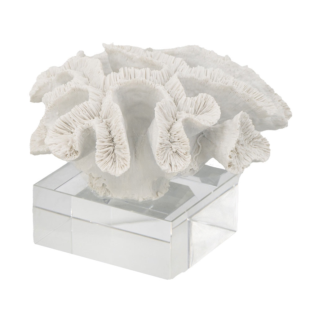 Faux Coral with Glass Base 70301