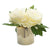 White Peonies in Gold & White Striped Vase F4465-CREA-DS