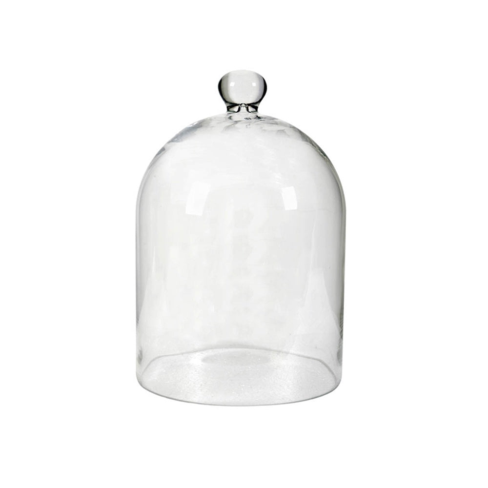 Clear Glass Cloche 73939S