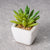 Faux Mini Succulent in White Ceramic Planter SHCK3023011