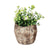 Wooden Planter - Medium CF18642B