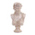 Resin Aphrodite Bust W8000-1124