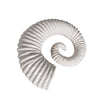 White Ceramic Ram Horn OMS04017146W