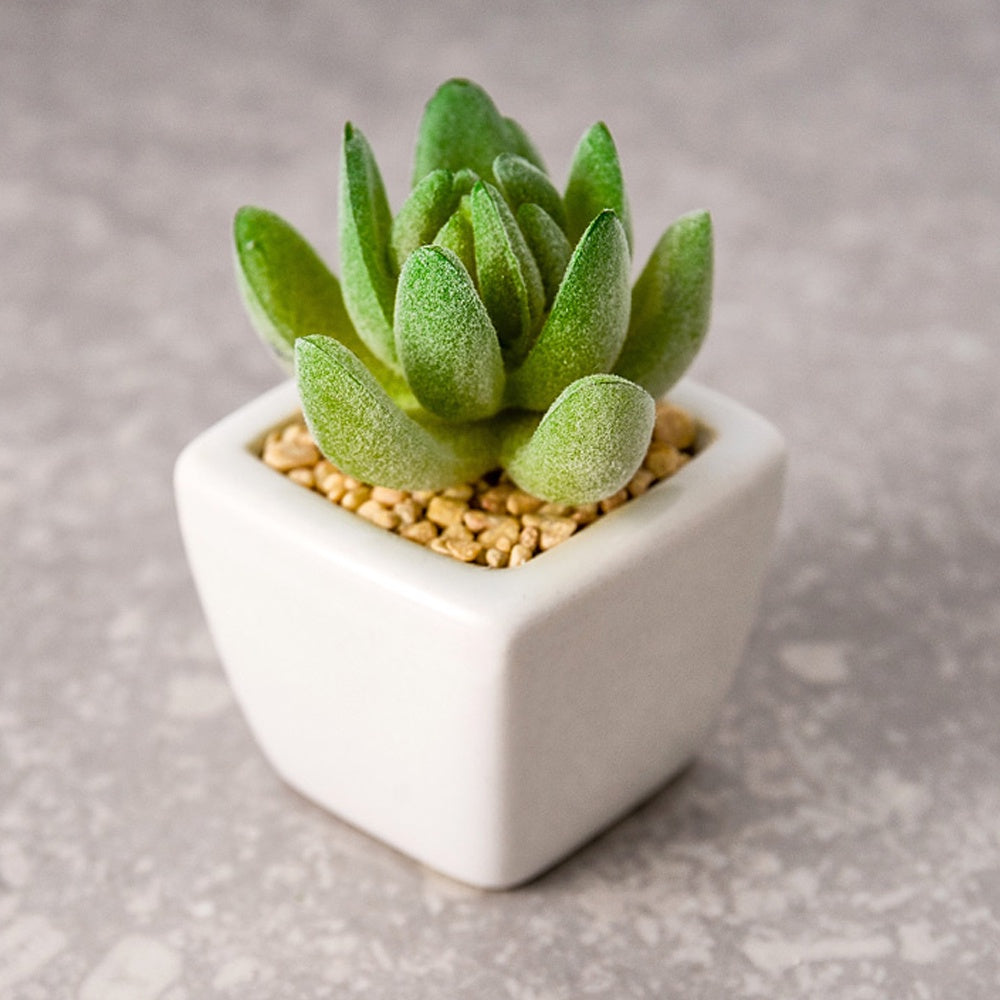 Faux Mini Succulent in White Ceramic Planter SHCK3020011