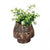 Wooden Vase - Medium CF18643B