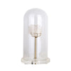 Spar Décor in Glass Dome - Medium FL-YF048B