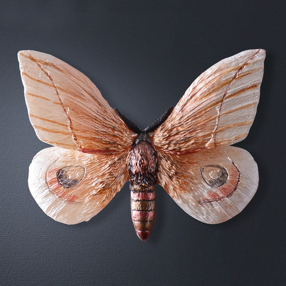 Resin Wall Décor Y4418008-lx-18275