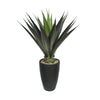 Giant Aloe Plant in Black Planter DVP 11-9